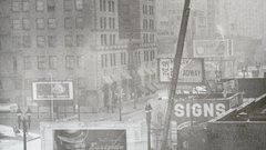 Lafd tree high nature