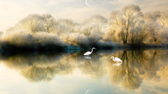 Lake Birds moons cg