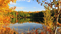 Lake fall nature Trees landscape leaves clouds