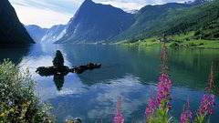 Lake Flowers landscape mountain