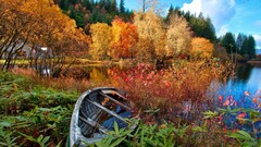 Lake forest nature canoes Trees fall landscape boat vehicle