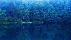 Lake forest nature mirror