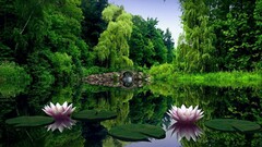 Lake forest water Trees Park Bridge Plants Flowers outdoors