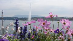 Lake in central geneva