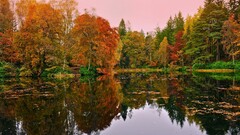 Lake nature fall water Trees
