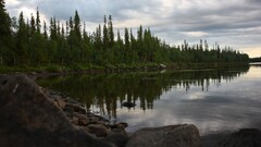 Lake Trees landscape