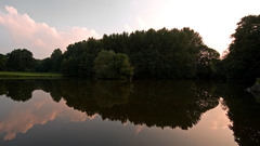 Lake Trees water reflections