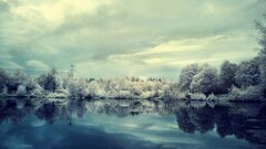 Lake winter snow Trees nature landscape power lines