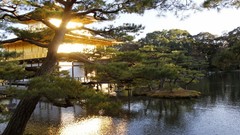 Lakes houses Japanese gardens