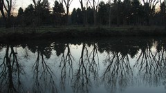 Lakes mirrors