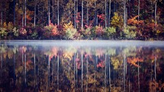 Lakes reflections forests