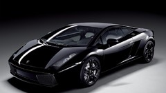 Lambo lamborghini gallardo complex magazine