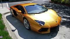Lamborghini