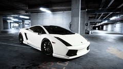 Lamborghini gallardo lamborghini gallardo