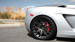 Lamborghini gallardo lamborghini gallardo