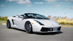 Lamborghini gallardo lamborghini gallardo