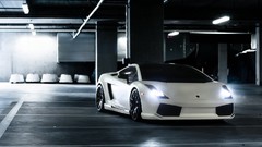 Lamborghini gallardo lamborghini gallardo