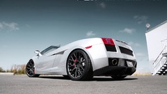 Lamborghini gallardo lamborghini gallardo