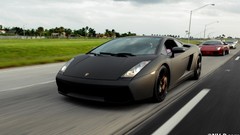 Lamborghini lamborghini gallardo