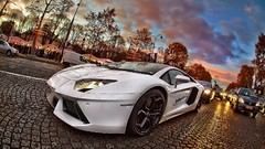 Lamborghini mirrored