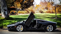Lamborghini open doors black cars