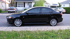 Lancer nature cars grass