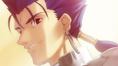 Lancer type-moon fate series visual novels