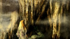 Landing artwork wrong