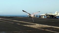 Landing delivered high