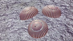 Landing outer space parachuting descent module Apollo 16
