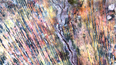 Landsat Art optomist lrg