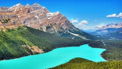 landscape Canada Lake nature Mountains Turquoise peyto lake
