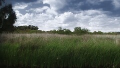 landscape clouds sky nature grass outdoors