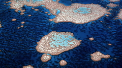 Landscape collection vol nature