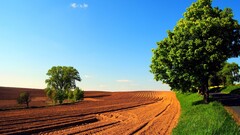 landscape field sky road Trees grass dirt clear sky sunlight