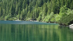 landscape forest water Trees Lake nature