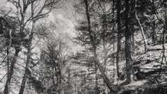 Landscape germany August The gelatin sander siebengebirge