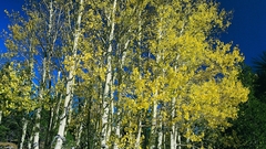 Landscape high nature