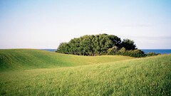 landscape hills Trees