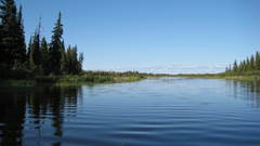 Landscape in lowland James