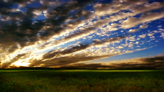 Landscape job all nice