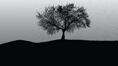 landscape monochrome Trees dark sky Plants outdoors