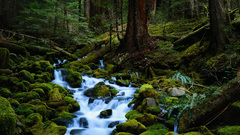 Landscape natural high Resolution