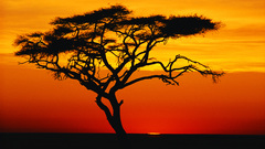 Landscape natural high Resolution