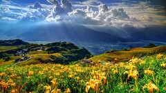 landscape nature clouds field Flowers sun rays sky panorama
