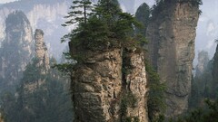 landscape nature rock Trees China Huanglong National Park Plants