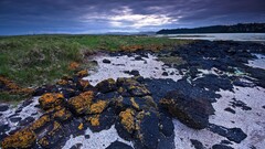 landscape nature sky Plants blue