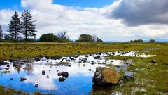 landscape nature Trees clouds stones water