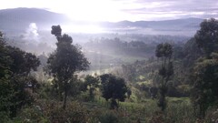 landscape nature Trees sky hills Green sunlight Plants