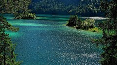 landscape nature water outdoors Trees